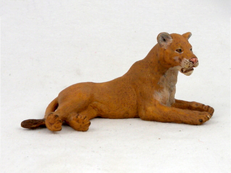 Famale Lying Lion