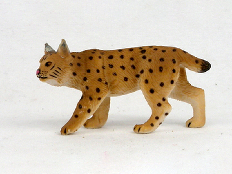 Great Lynx