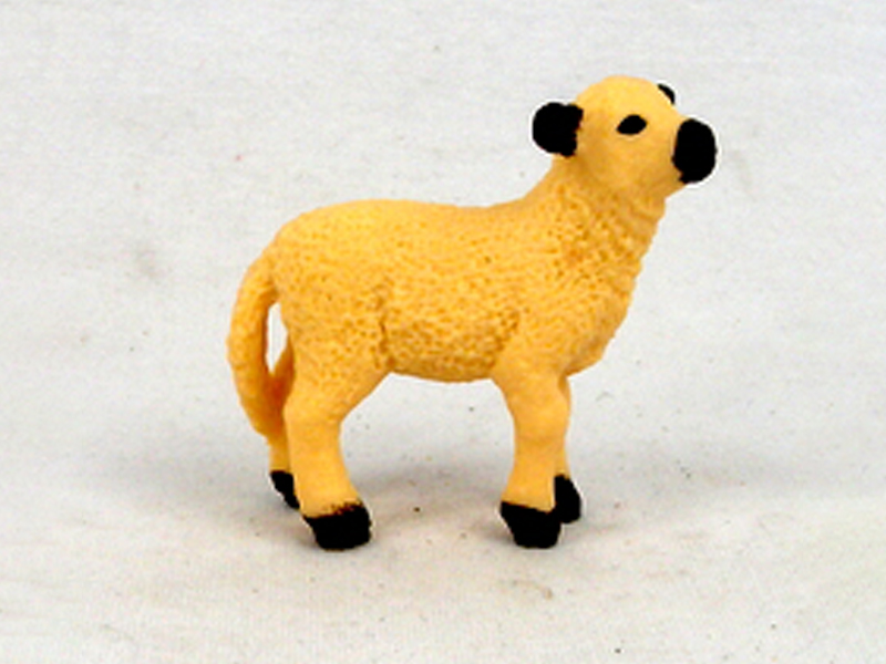 Shropshire Sheep