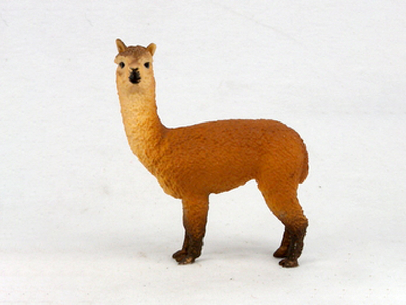 Big Alpaca
