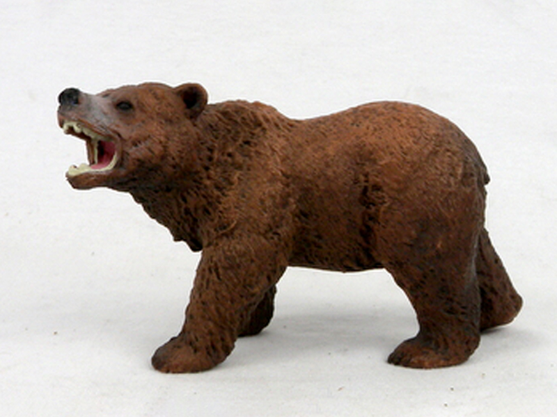 Lodging Brown Bear