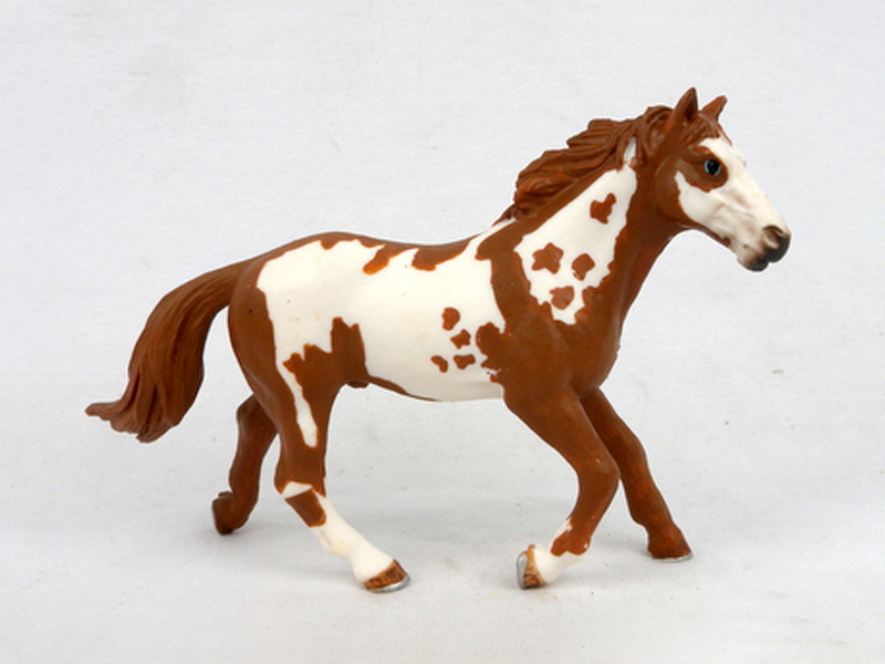 Young Pint Horse