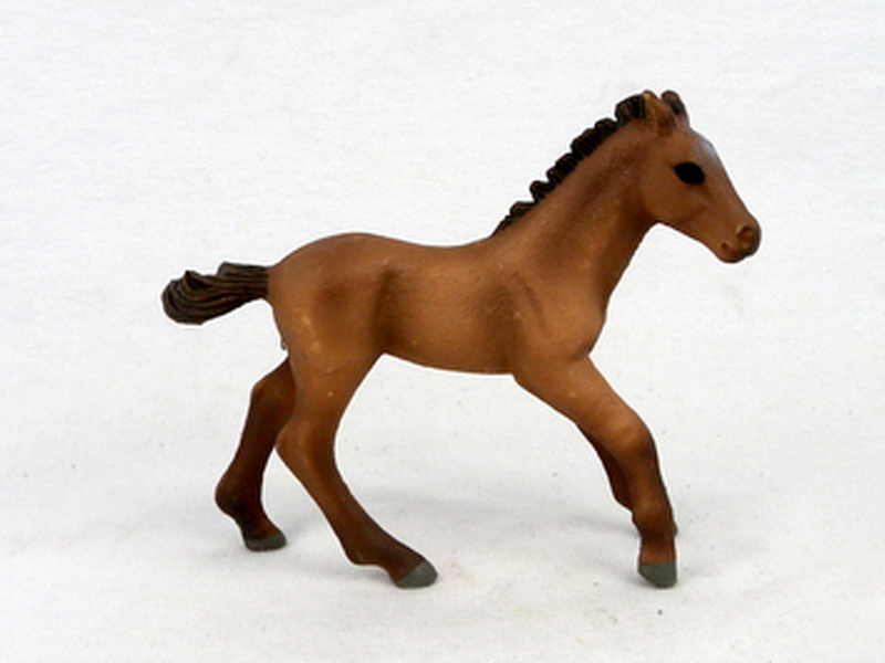Camargo Pony