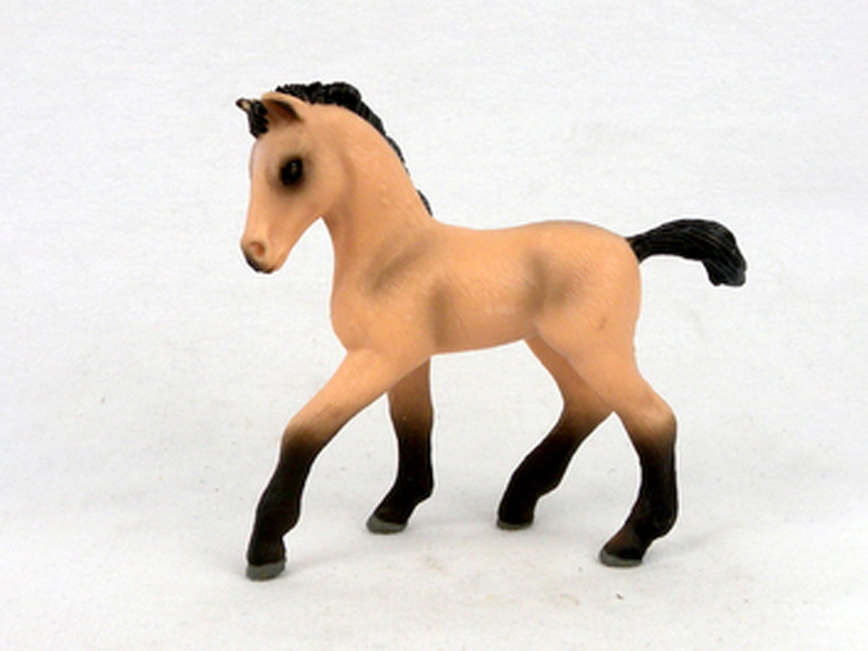 Andalusian Pony