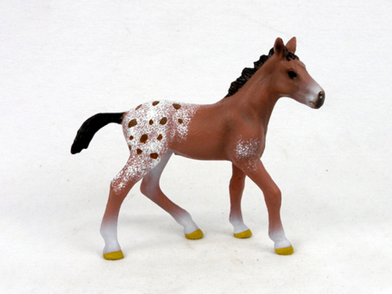 Apalusa Pony
