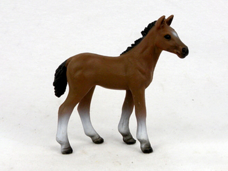 Hanover Pony