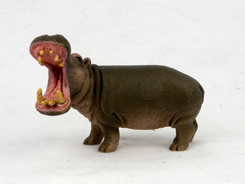 Gongda Hippo