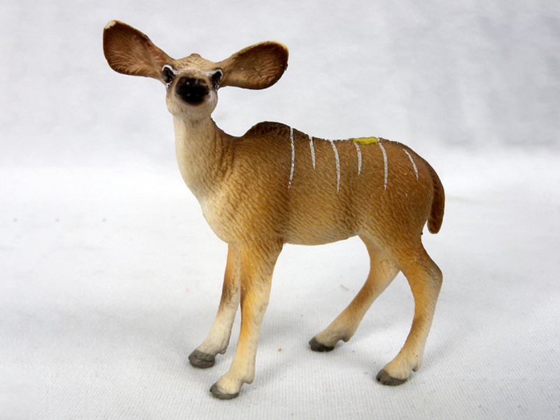 Small Cape Antelope