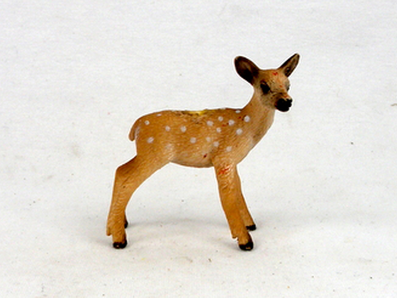 Red Deer