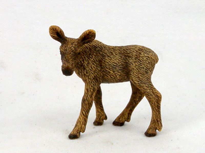 Little Moose