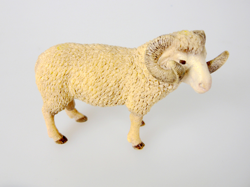 Sheep