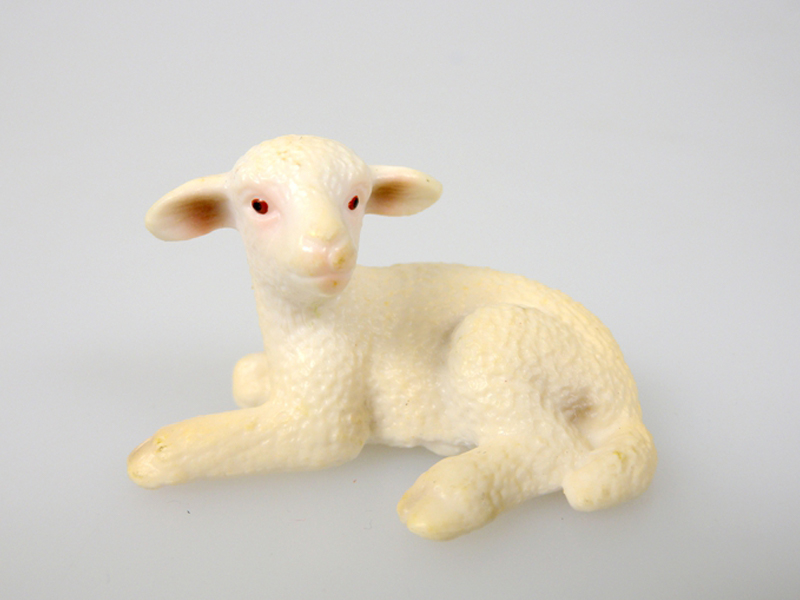 Merino Lamb