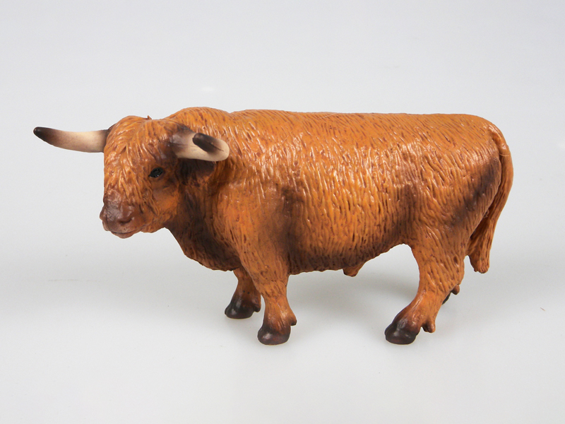 Highland Cattle