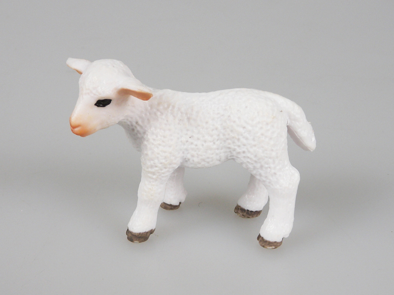 Little Sheep