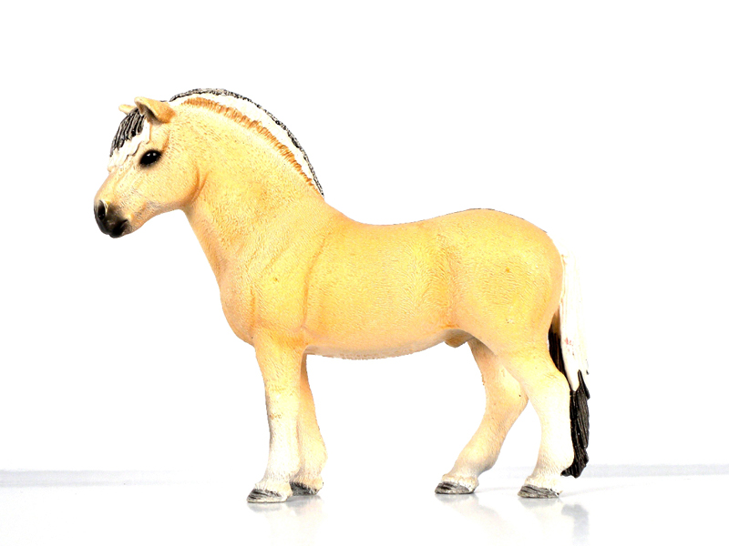 Fjord Horse