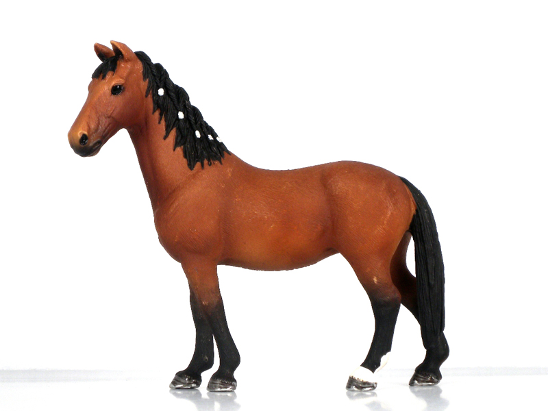 Trekkner Mare