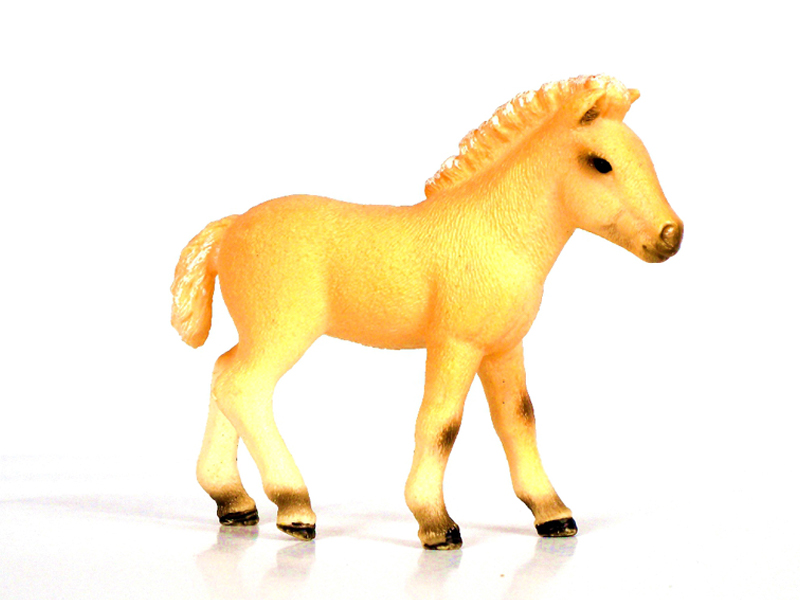 Fjord Pony