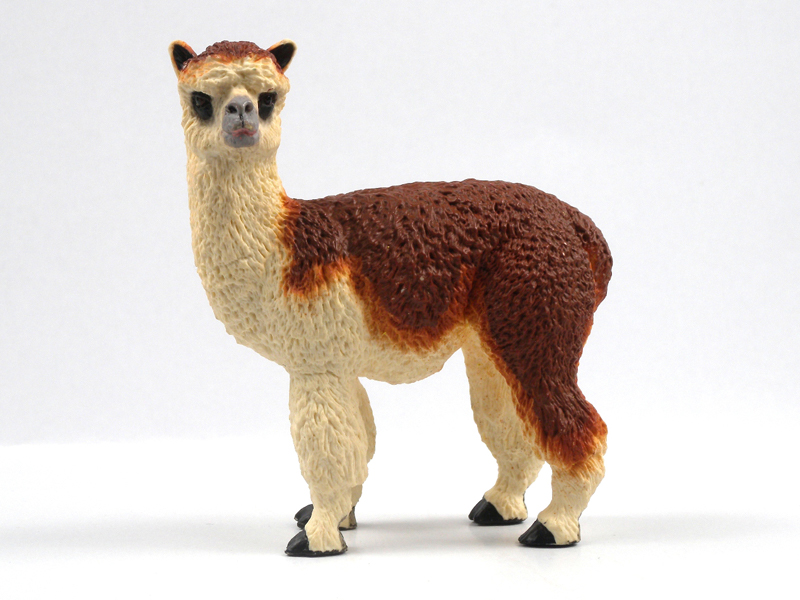 Alpaca