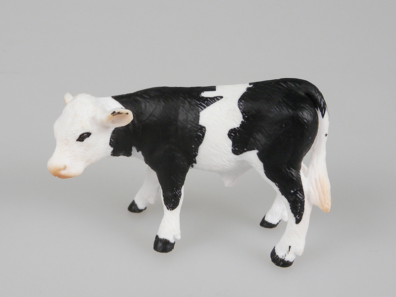 Holstein Cow