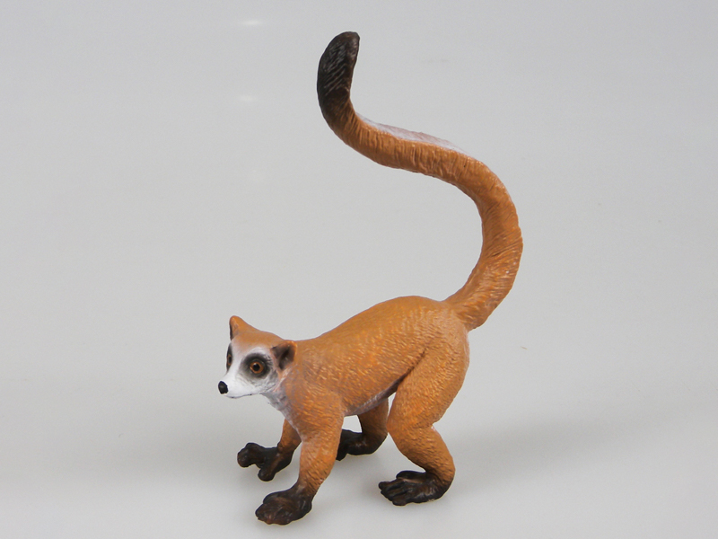 Long Tailed Monkey