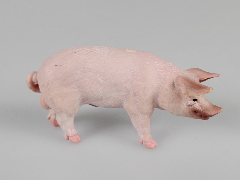 Boar