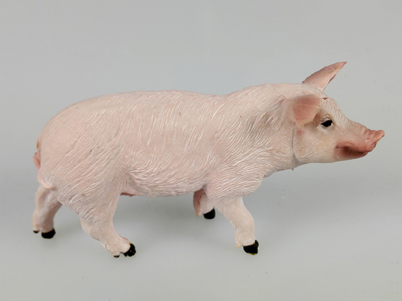 Sow