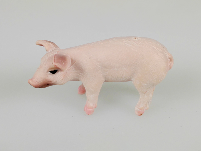 Little Boar