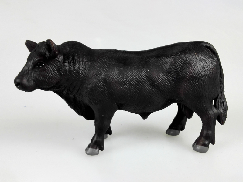 Black Angus Bull
