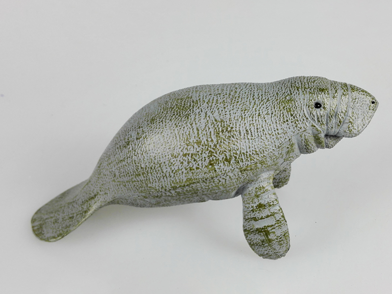 Manatee