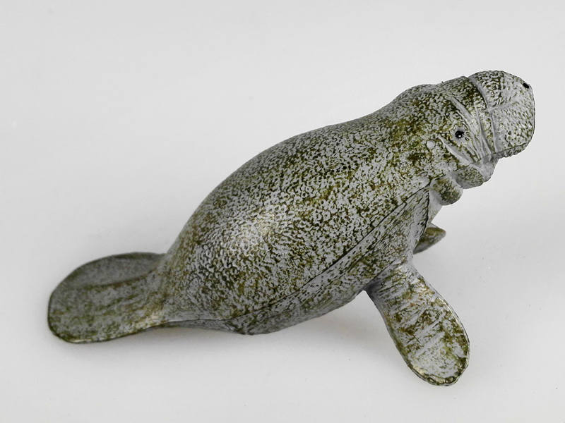 Manatee