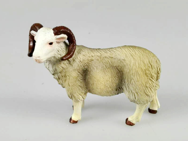 Horned Sheep