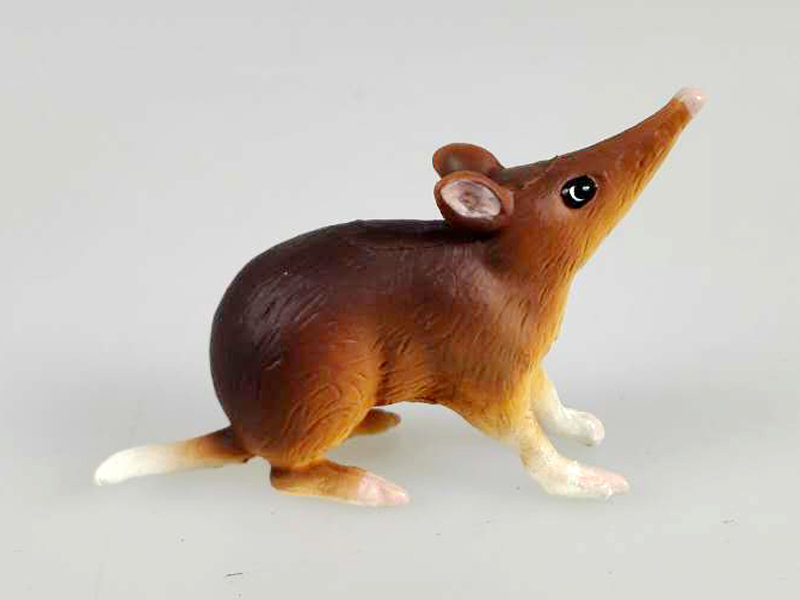 Aardvark