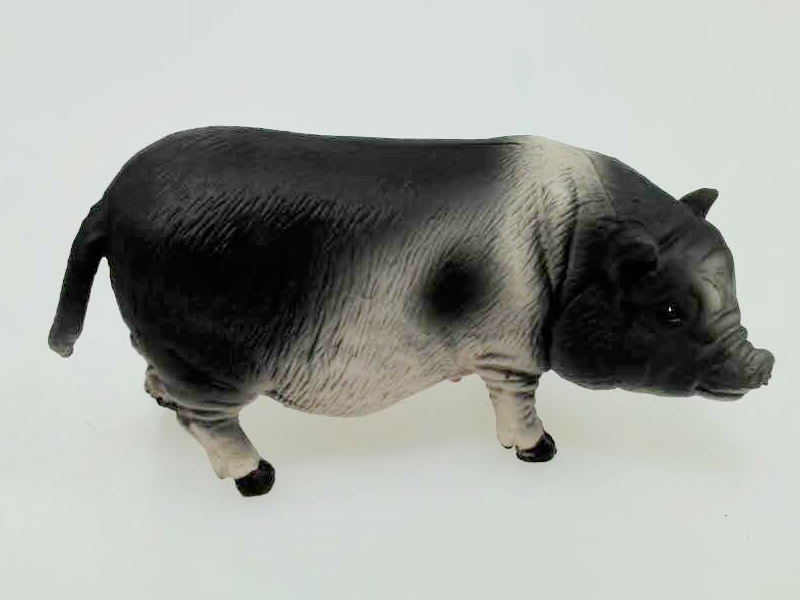 Vietnam Pig