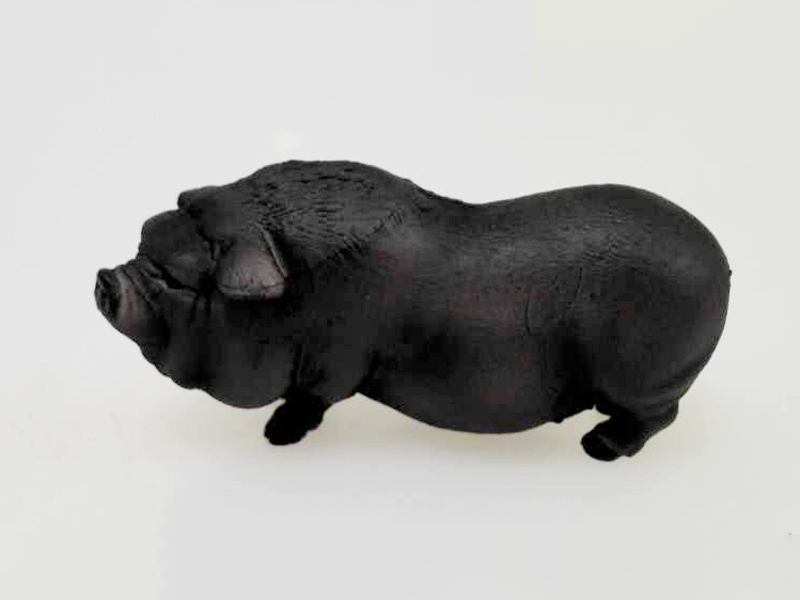 Vietnam Pig