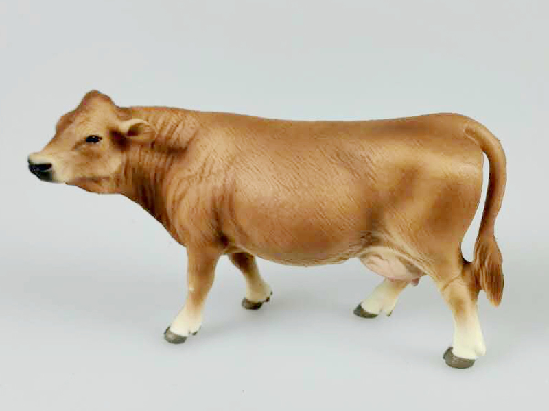 Cattle