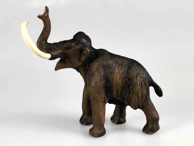 Medium Mammoth