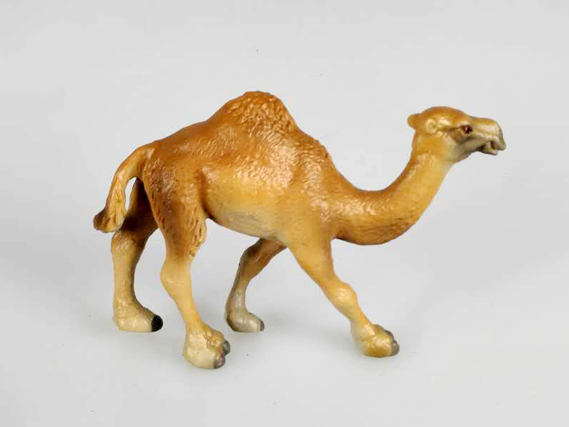 One-Humped Camel