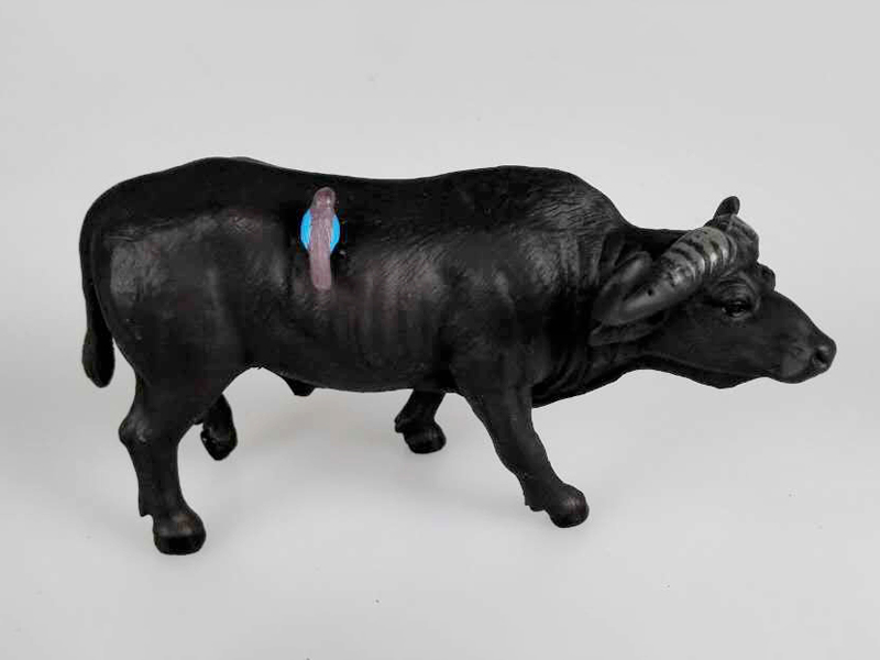 Buffalo