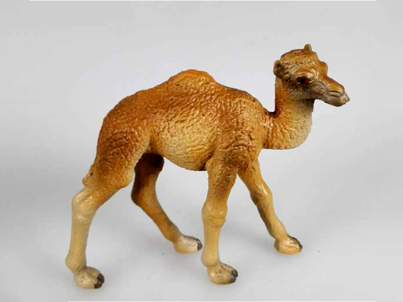 One-Humped Camel
