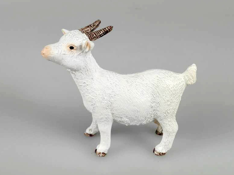 Little Goat