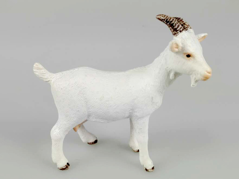 White Lamb