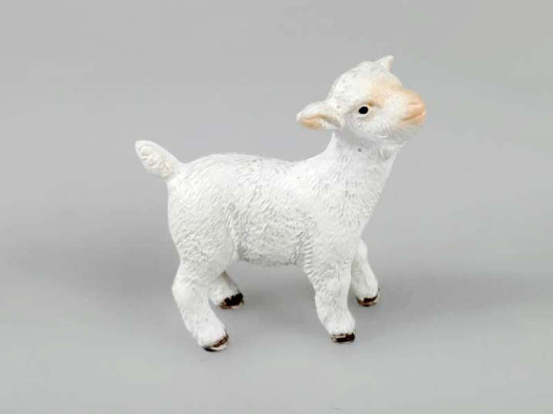 Little Goat