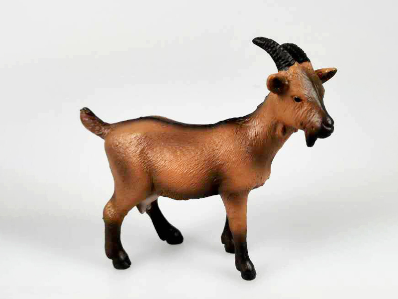 Goat