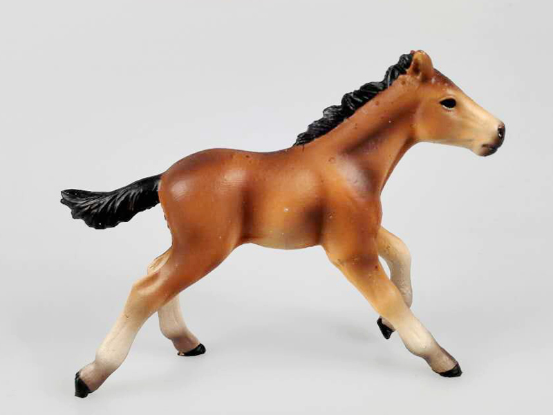 Wild Horse