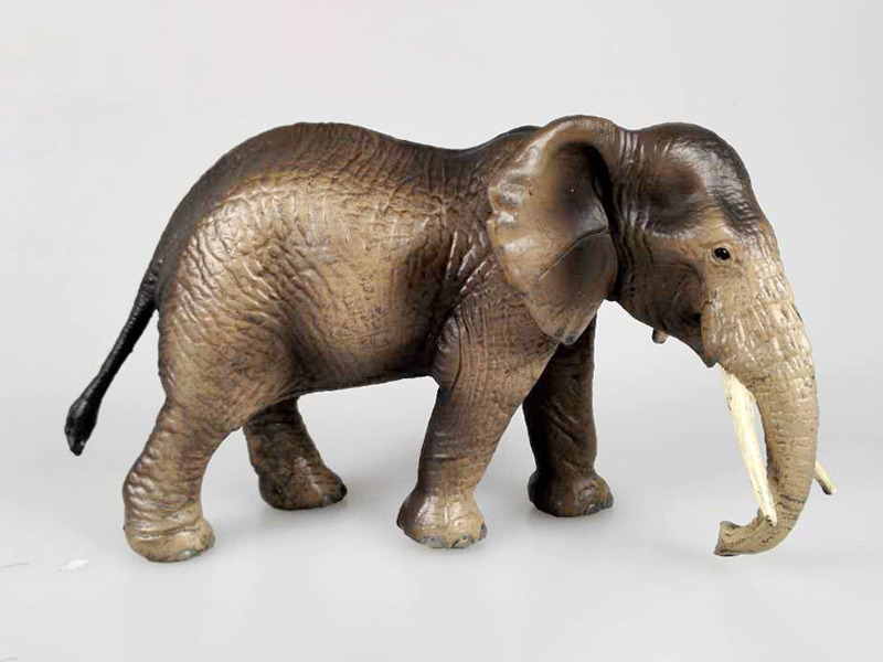 Asian Elephant