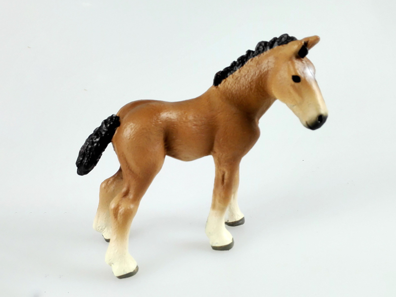 Pony