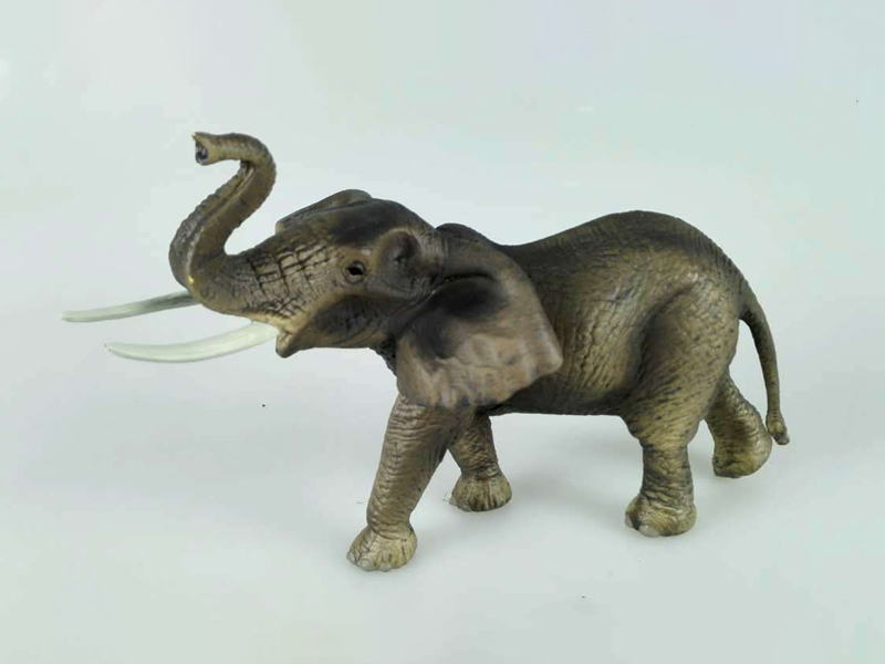 African Elephant