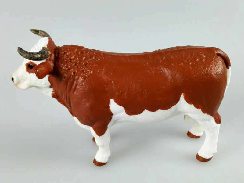 Simmental Bull