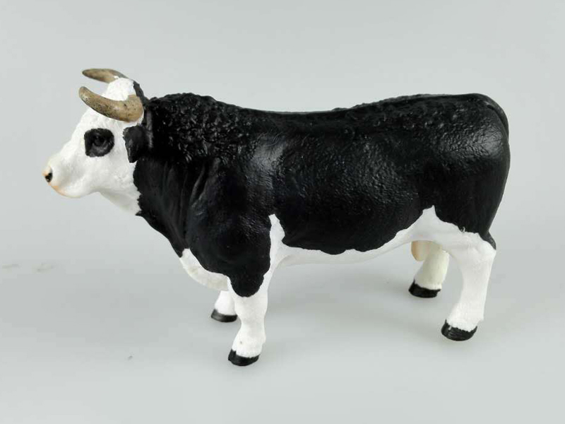 Simmental Bull