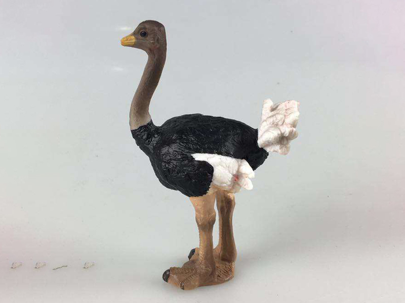 Ostrich